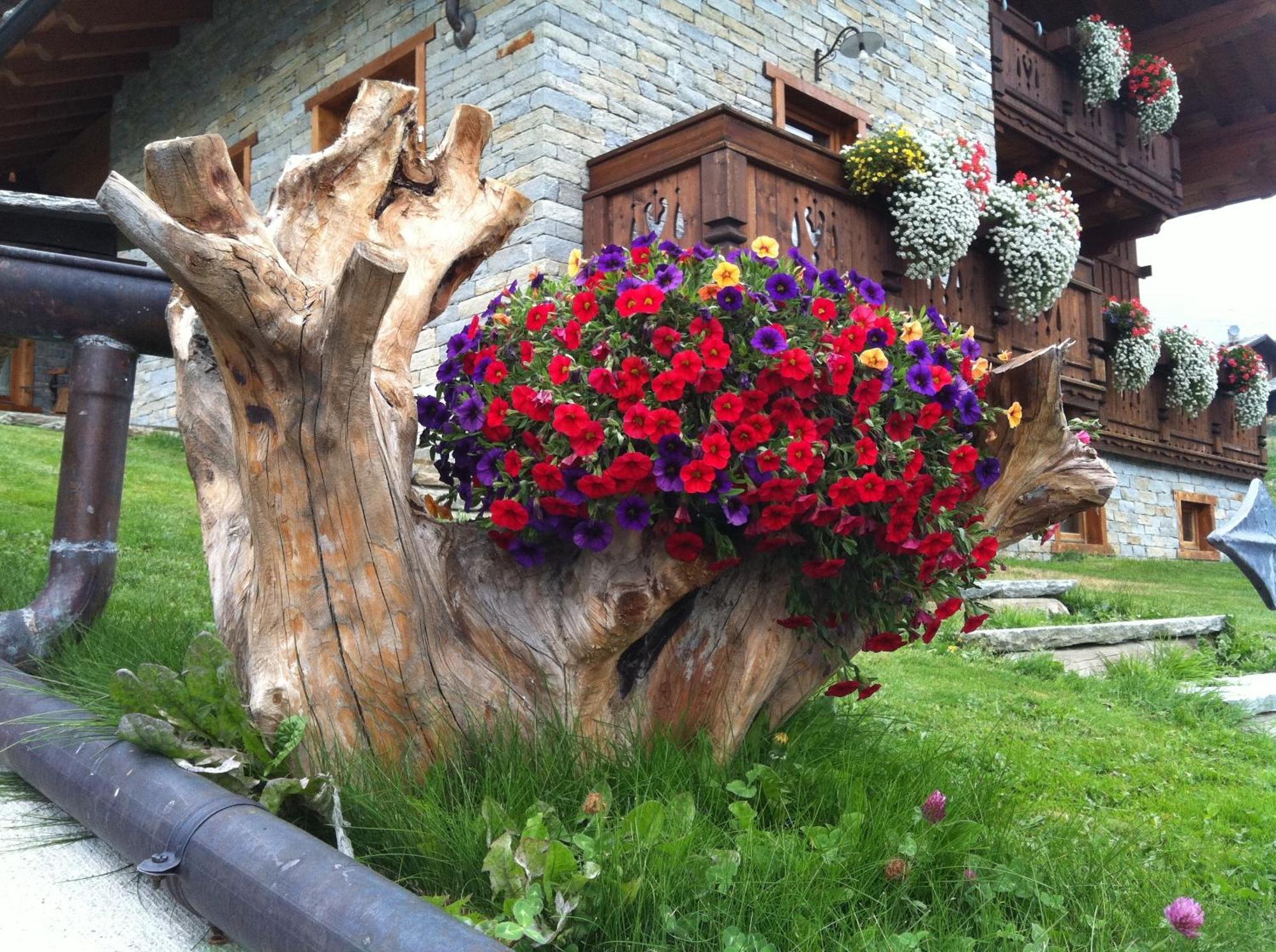 Residence Lo Peyo Champoluc Exteriör bild